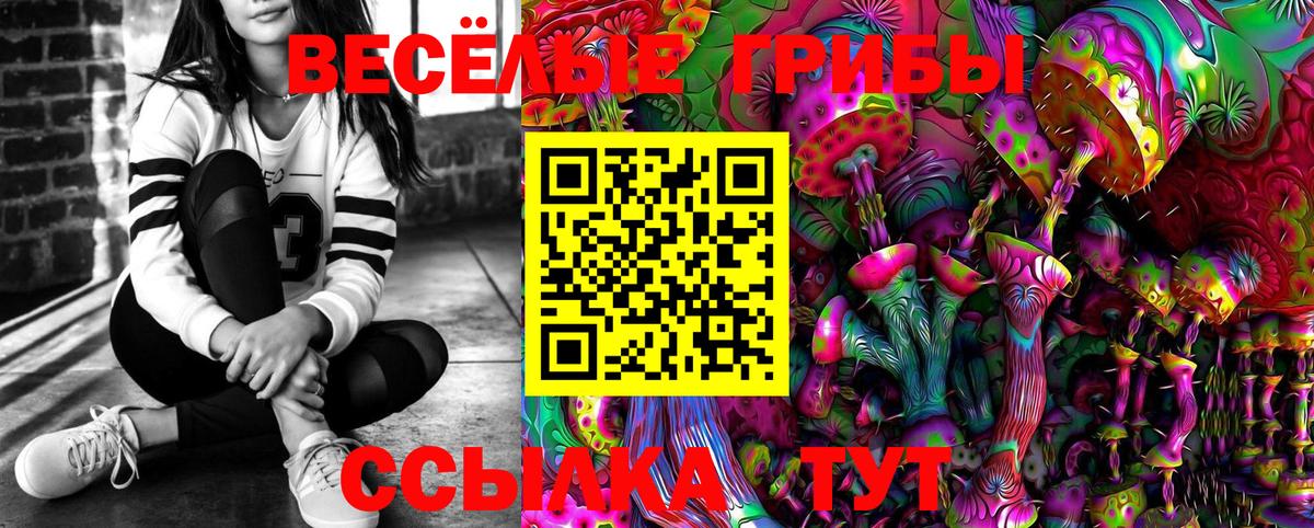 Псилоцибиновые грибы MAGIC MUSHROOMS  Вход с VPN  Валуйки  Галлюциногенные грибы Psilocybe 